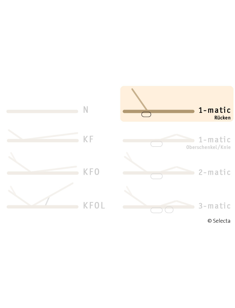 Selecta Lattenrost Einlegerahmen FR7, Ausführung 1-Matic Rücken