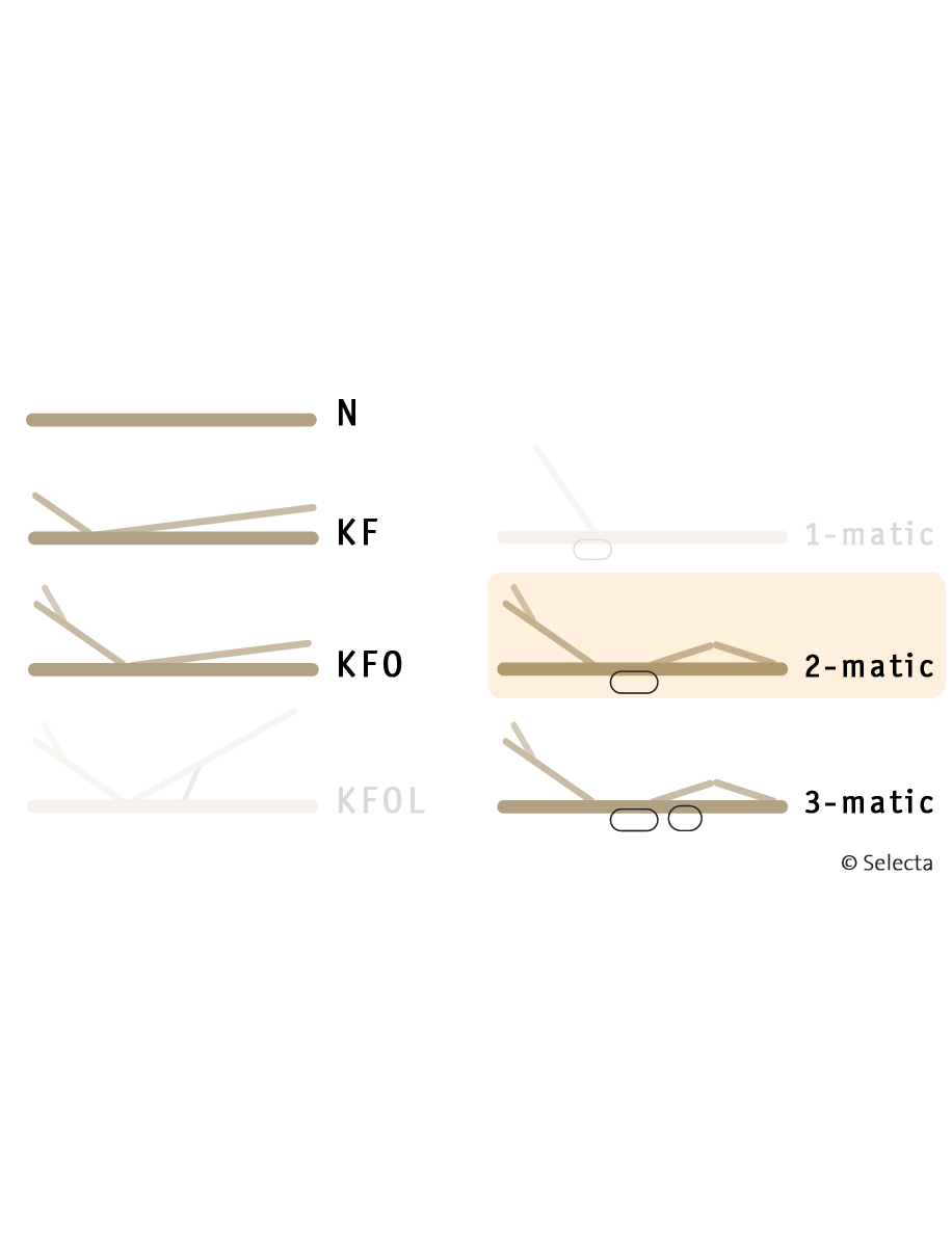 Selecta Lattenrost Einlegerahmen FR6, Ausführung 2-Matic