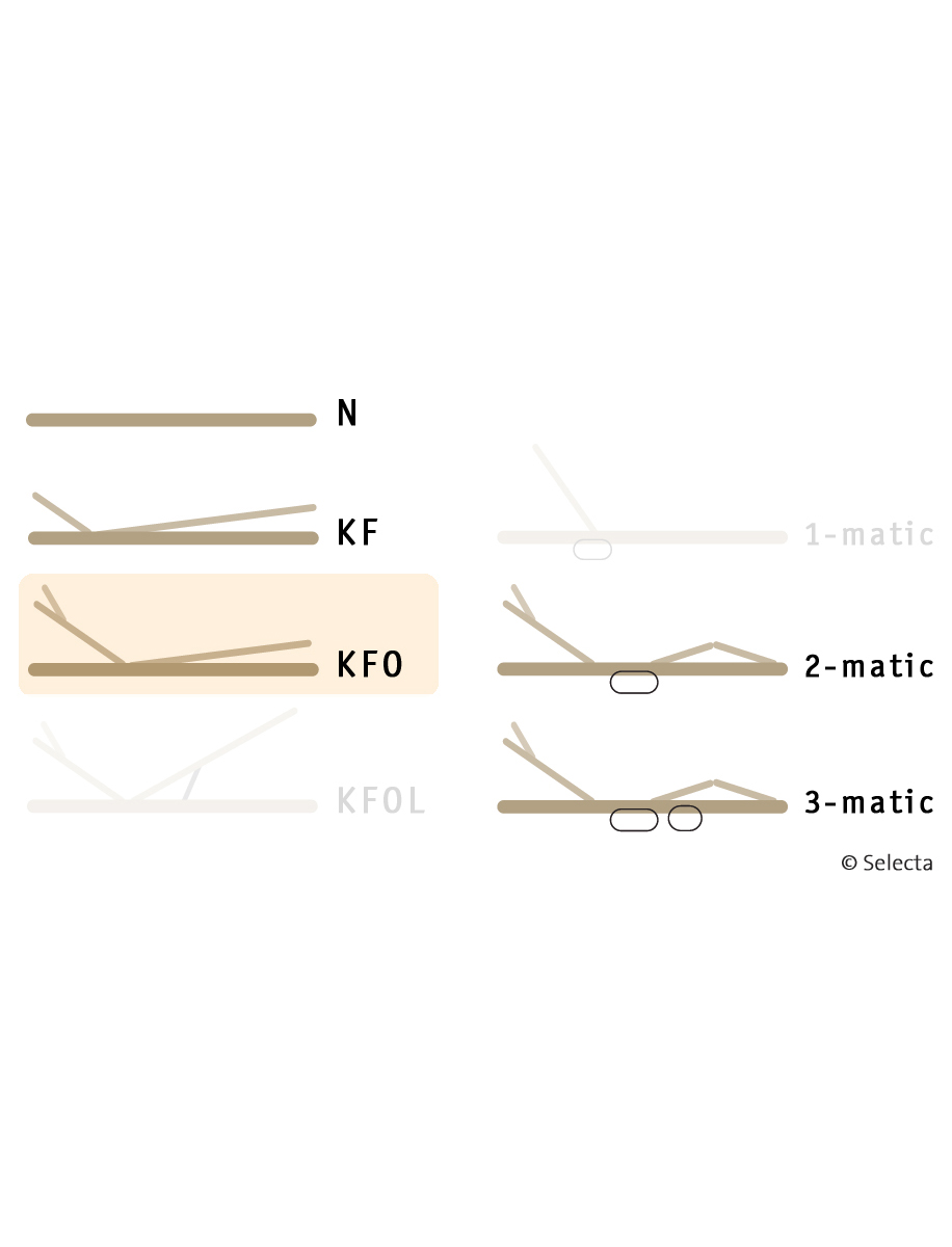 Selecta Lattenrost Einlegerahmen FR6, Ausführung KFO
