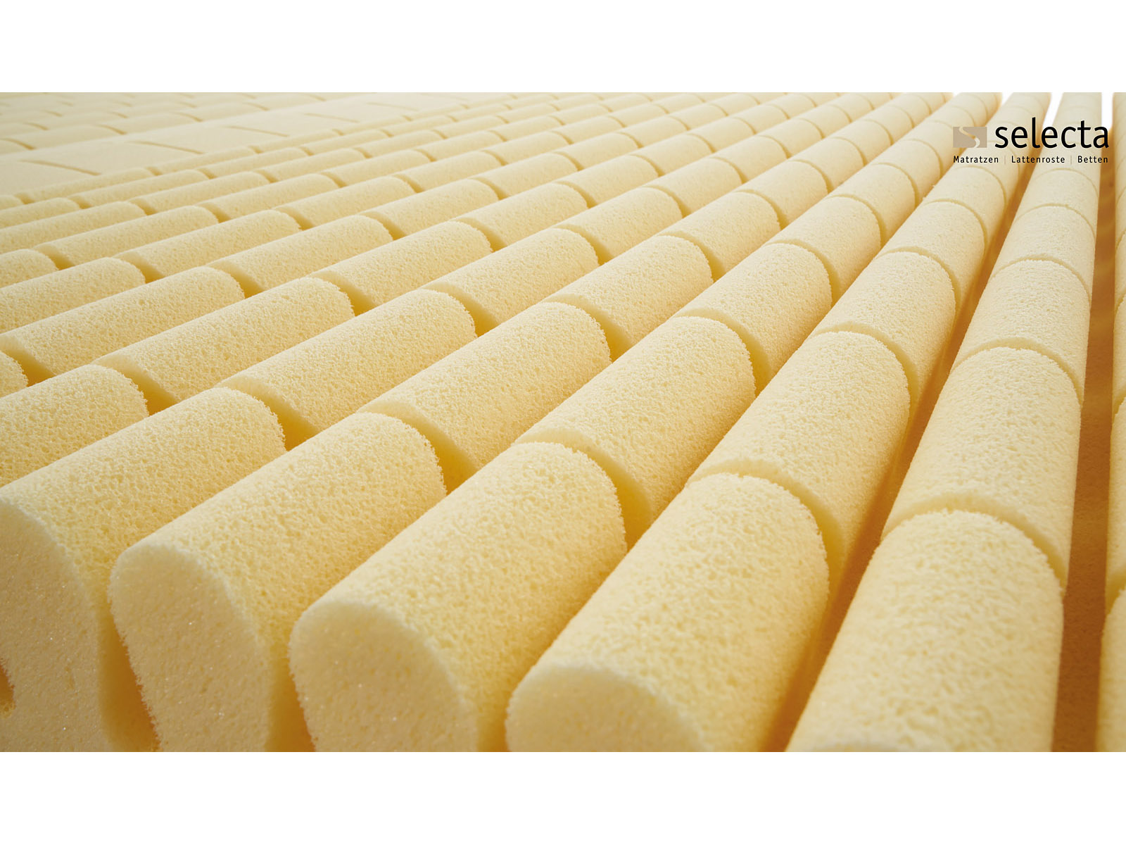Selecta Kaltschaummatratze S19 - Kern, Detail