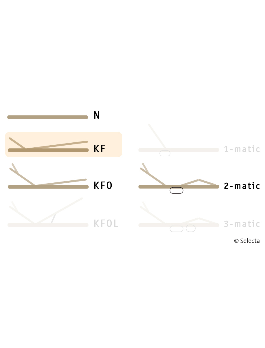 Selecta Lattenrost Einlegerahmen FR5, Ausführung KF