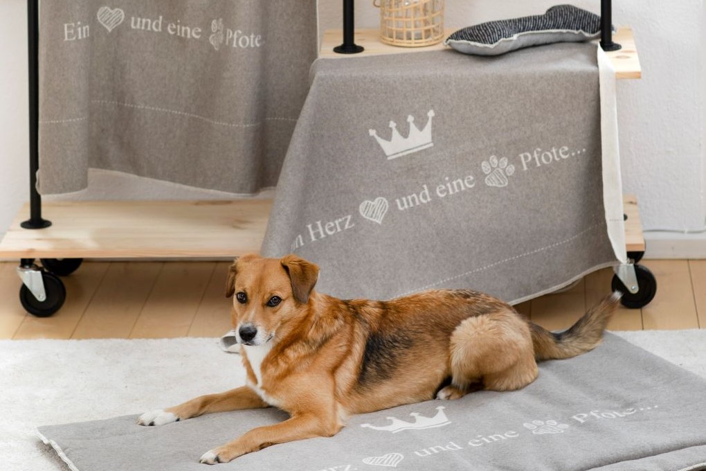 Lieferung ohne Hundematte