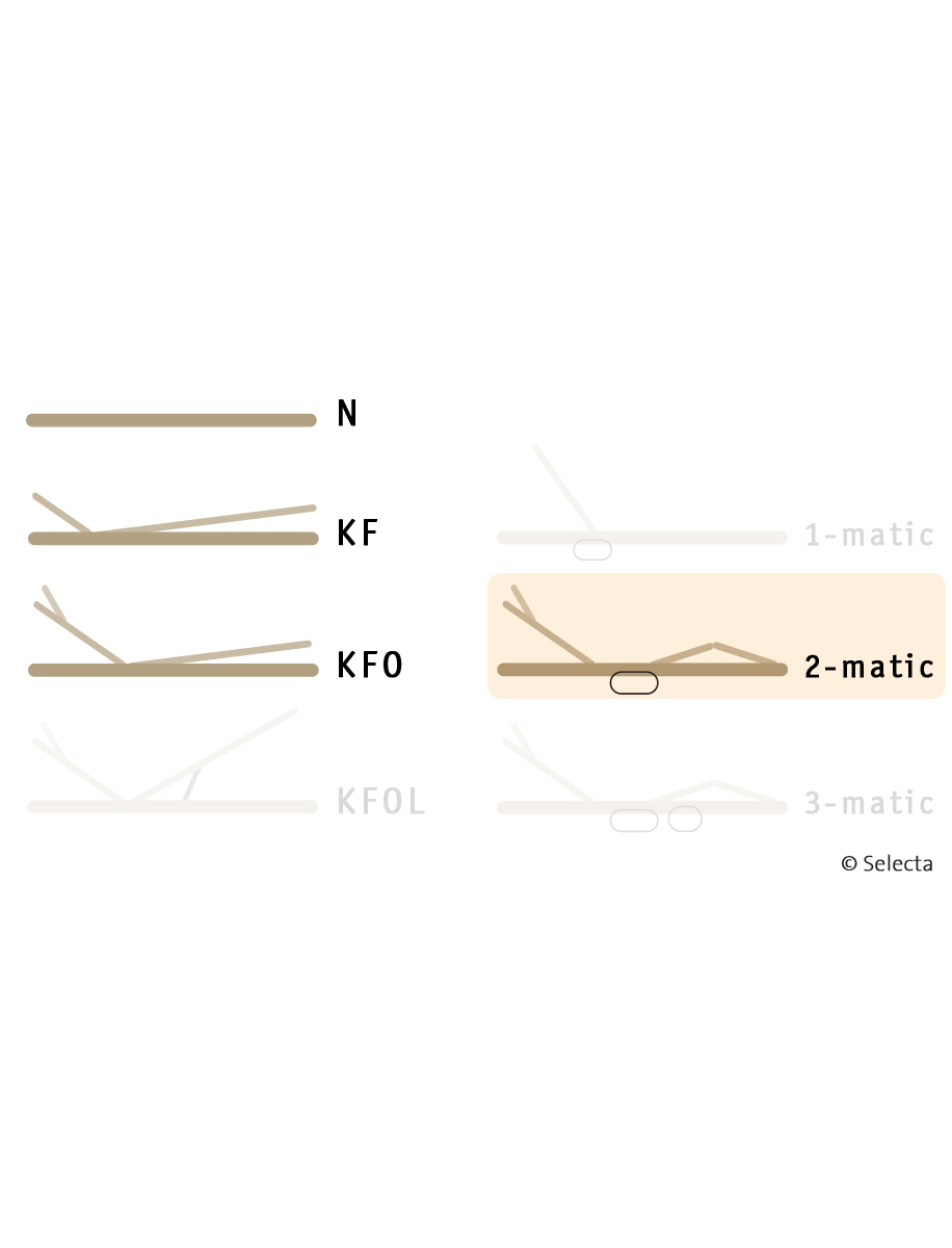 Selecta Lattenrost Einlegerahmen FR5, Ausführung 2-Matic