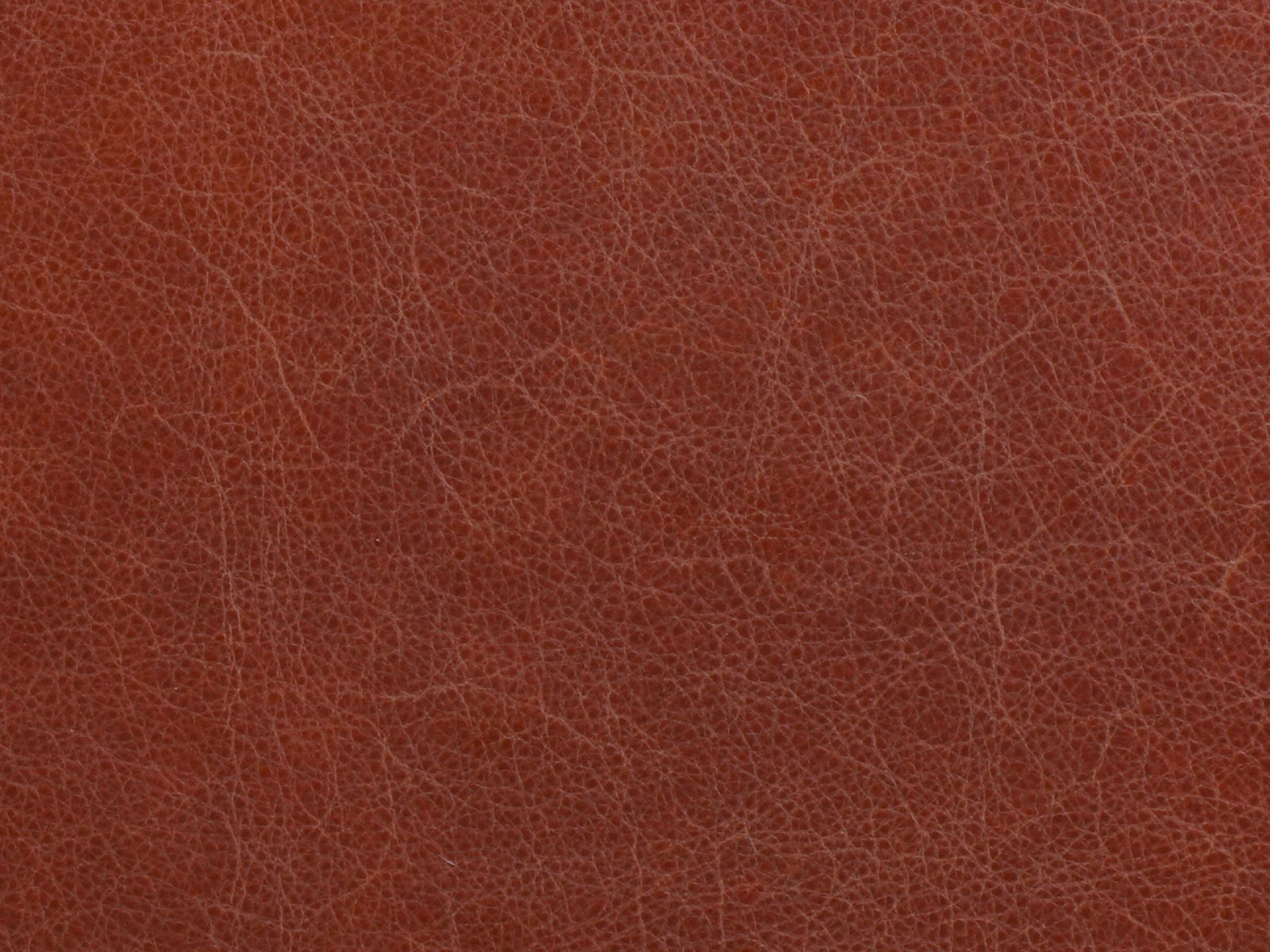 Echtleder Vintage Fango 520