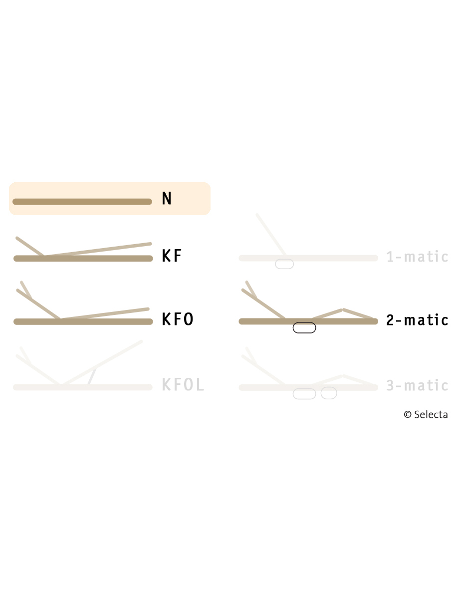 Selecta Lattenrost Einlegerahmen FR5, Ausführung N