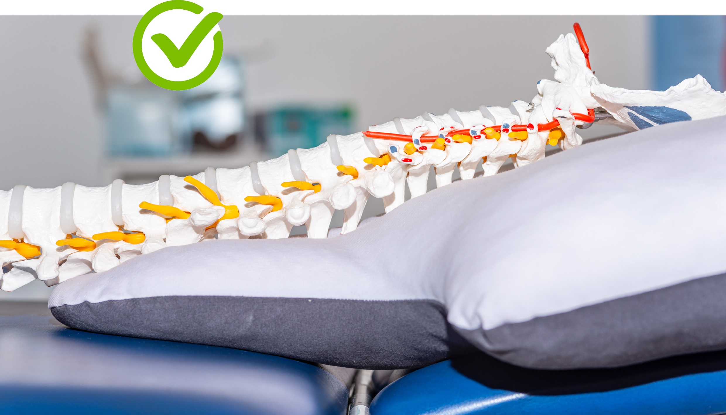 Wirbelsäulenstellung mit My Neck