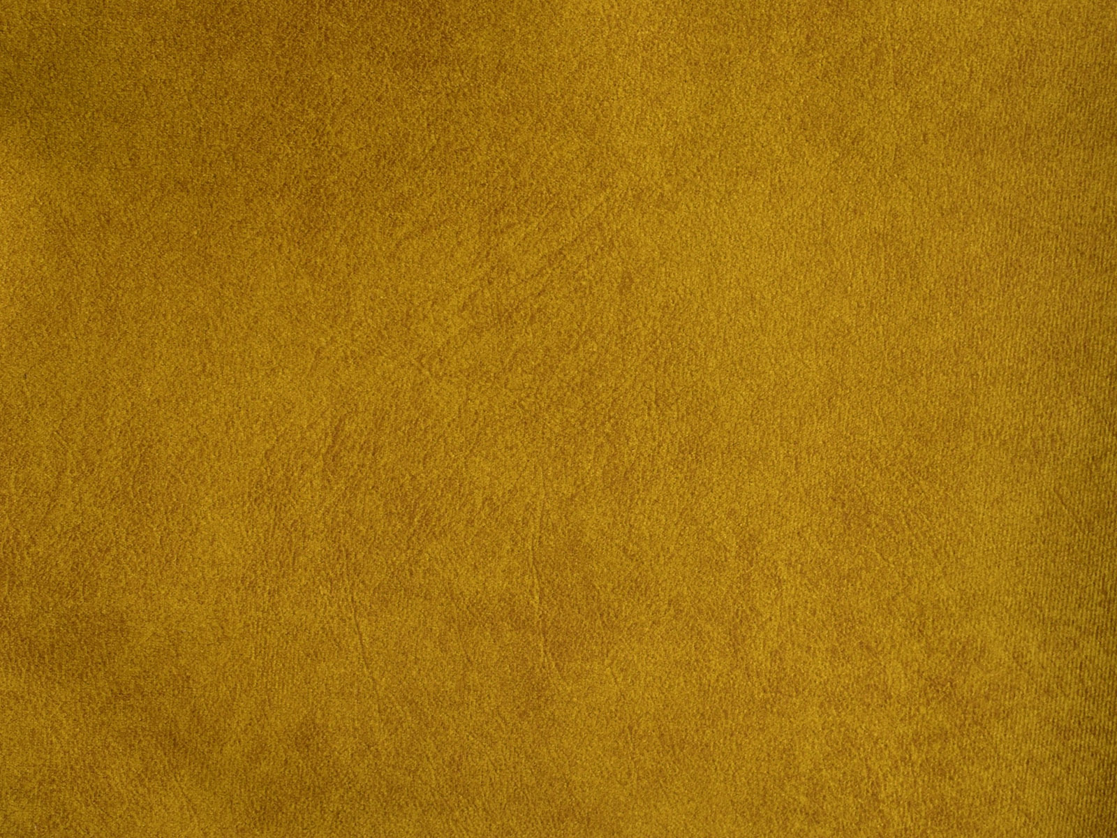 Farbe Salvador 09 Okra