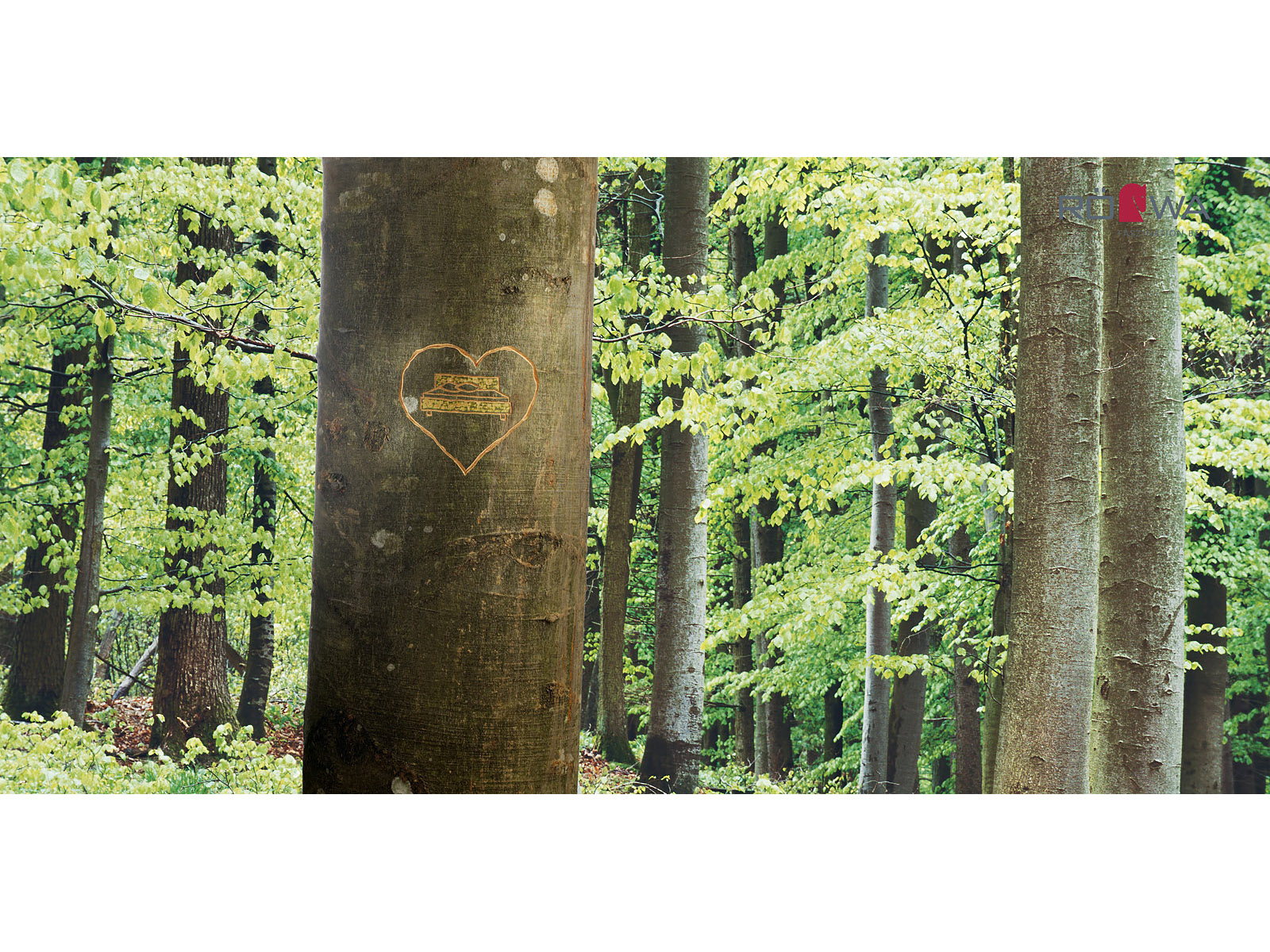 Natürlicher Rohstoff aus heimischen Wälder