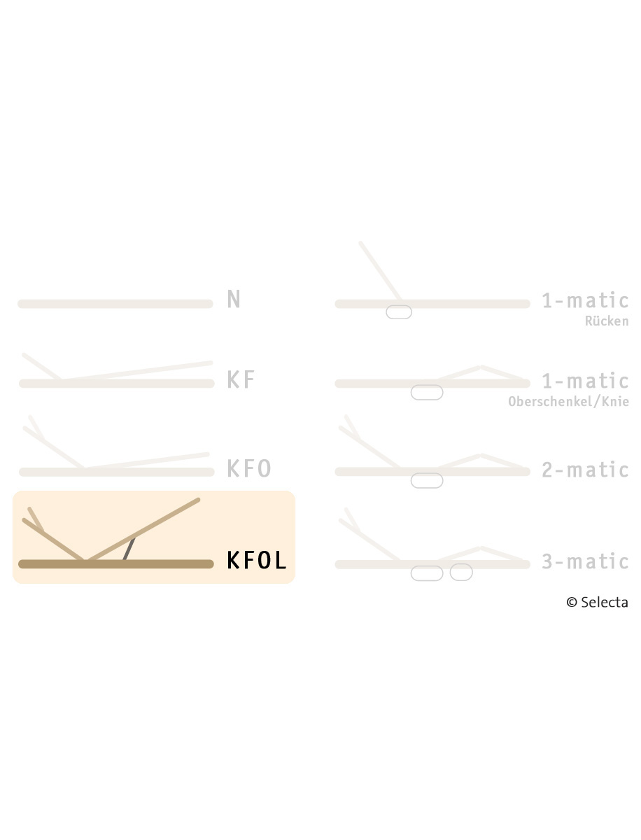 Selecta Lattenrost Einlegerahmen FR7, Ausführung KFOL