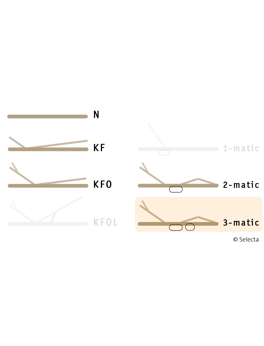 Selecta Lattenrost Einlegerahmen FR6, Ausführung 3-Matic