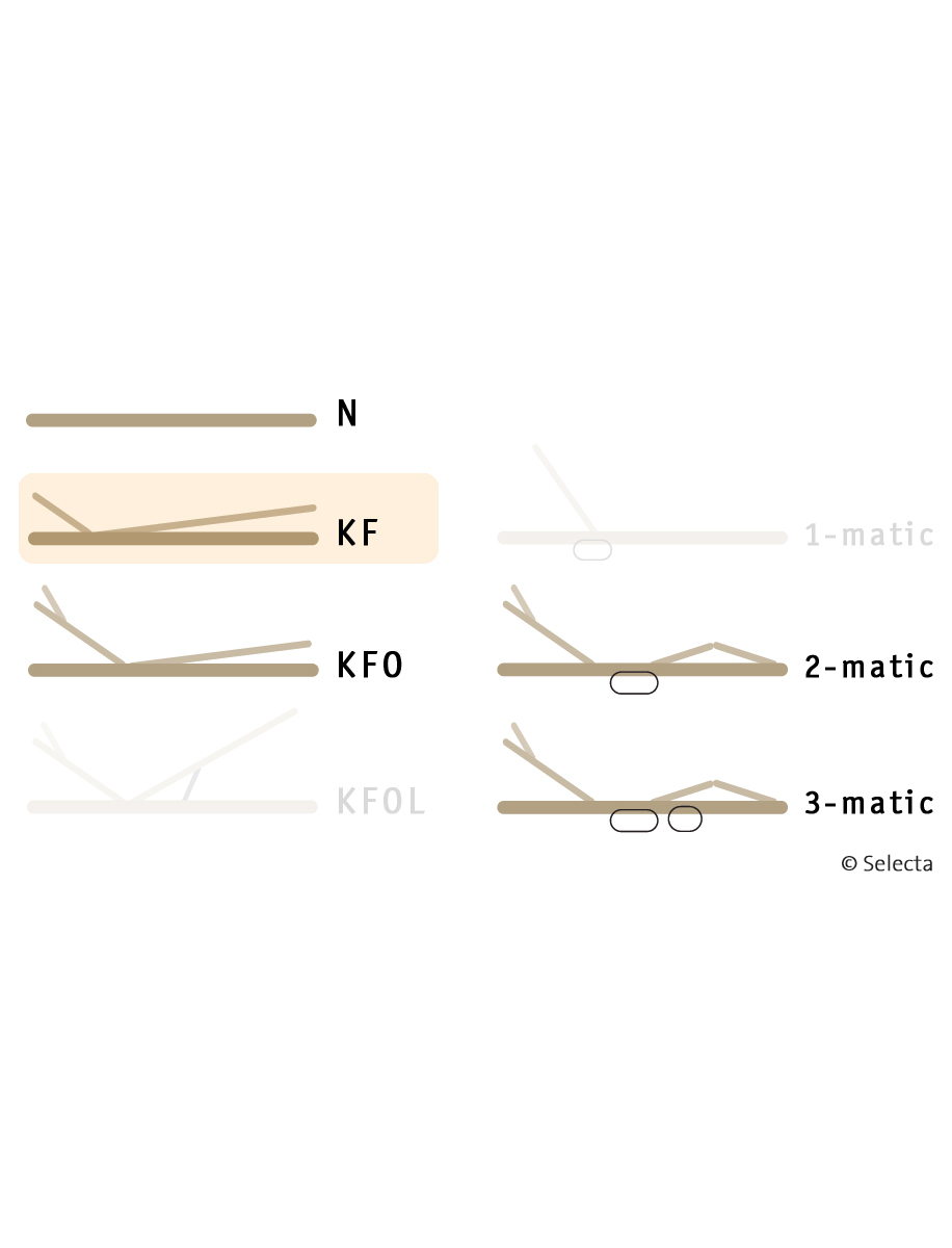 Selecta Lattenrost Einlegerahmen FR6, Ausführung KF