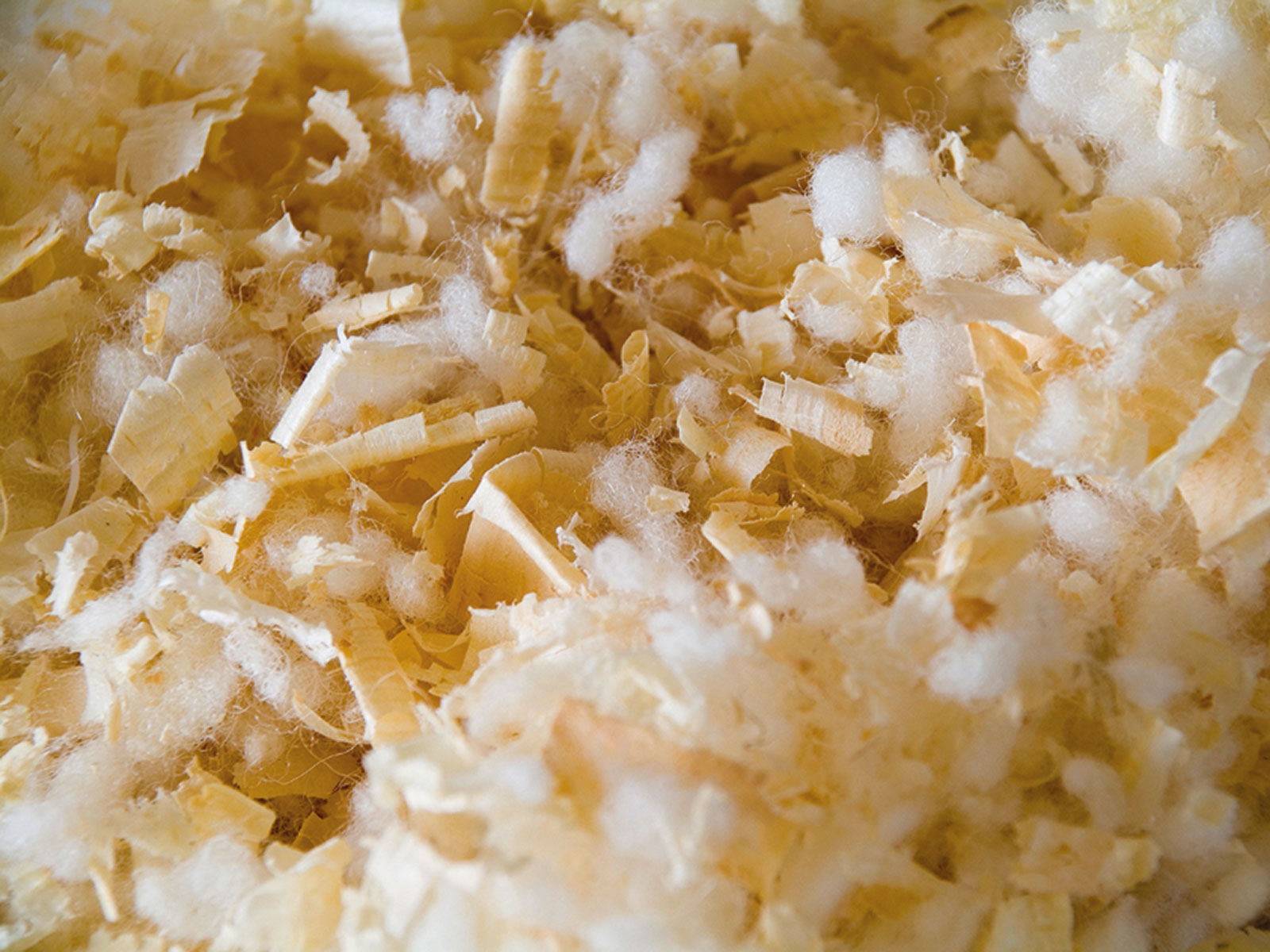 Füllung Zirbeflocken und Schurwollnoppen