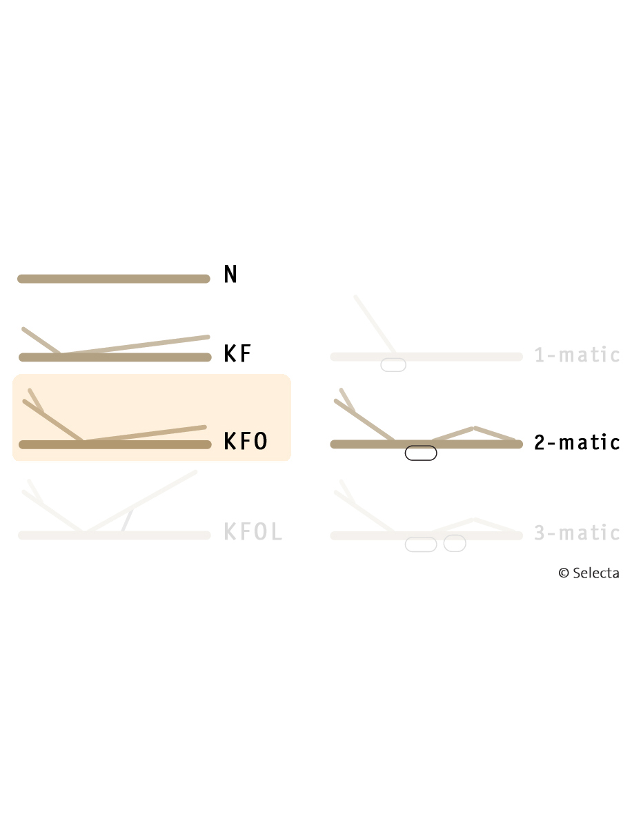 Selecta Lattenrost Einlegerahmen FR5, Ausführung KFO