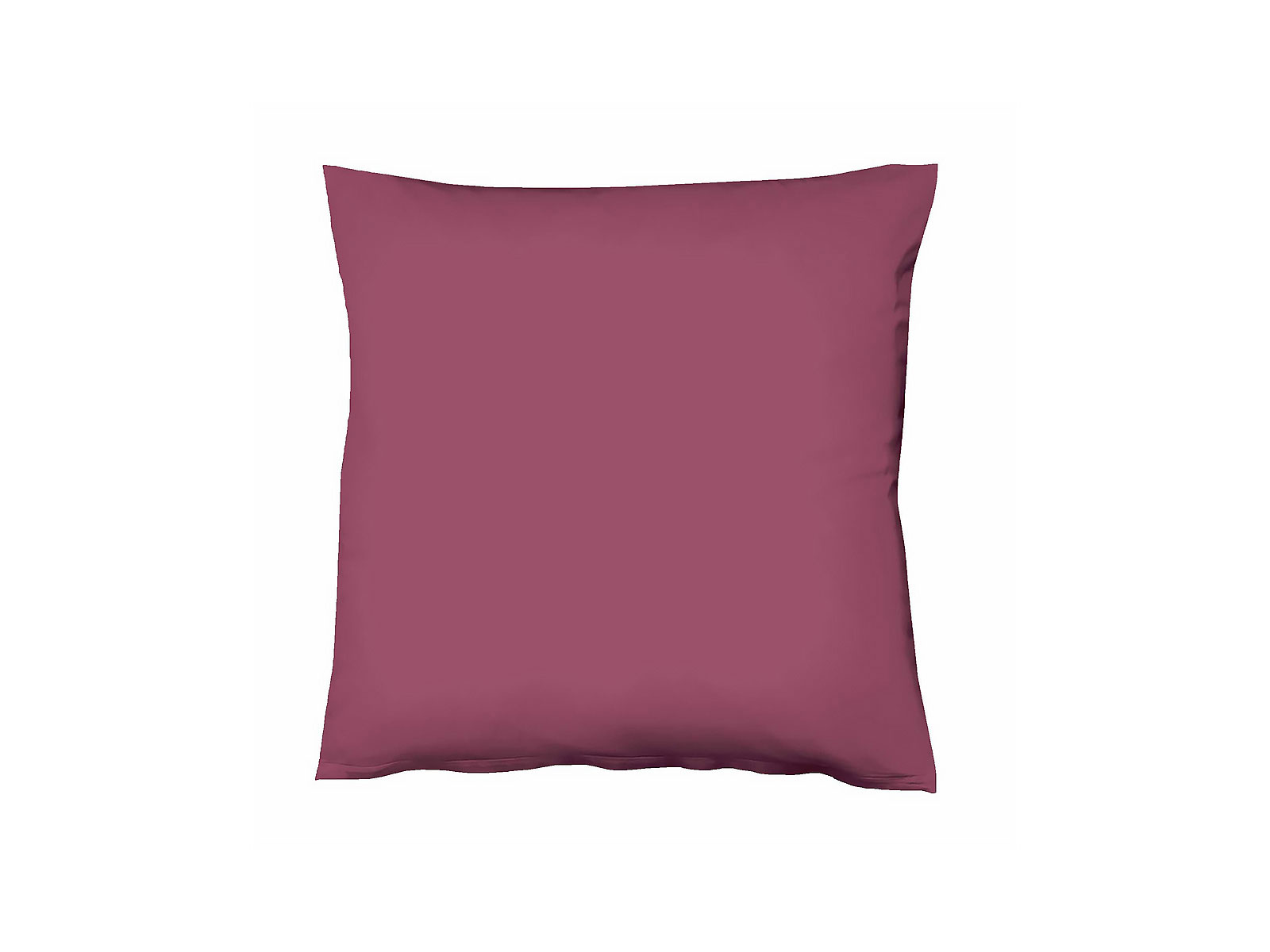 Himbeere, 40 x 40 cm