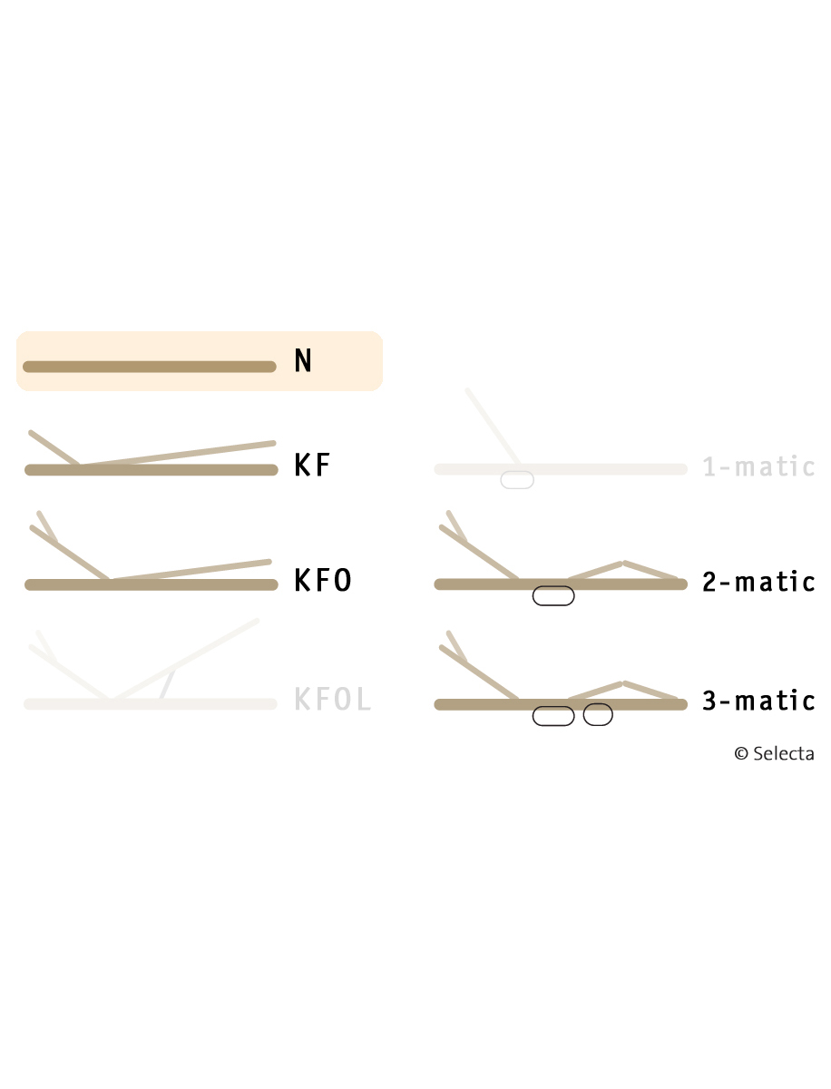 Selecta Lattenrost Einlegerahmen FR6, Ausführung N