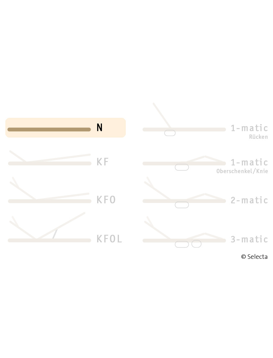 Selecta Lattenrost Einlegerahmen FR7, N