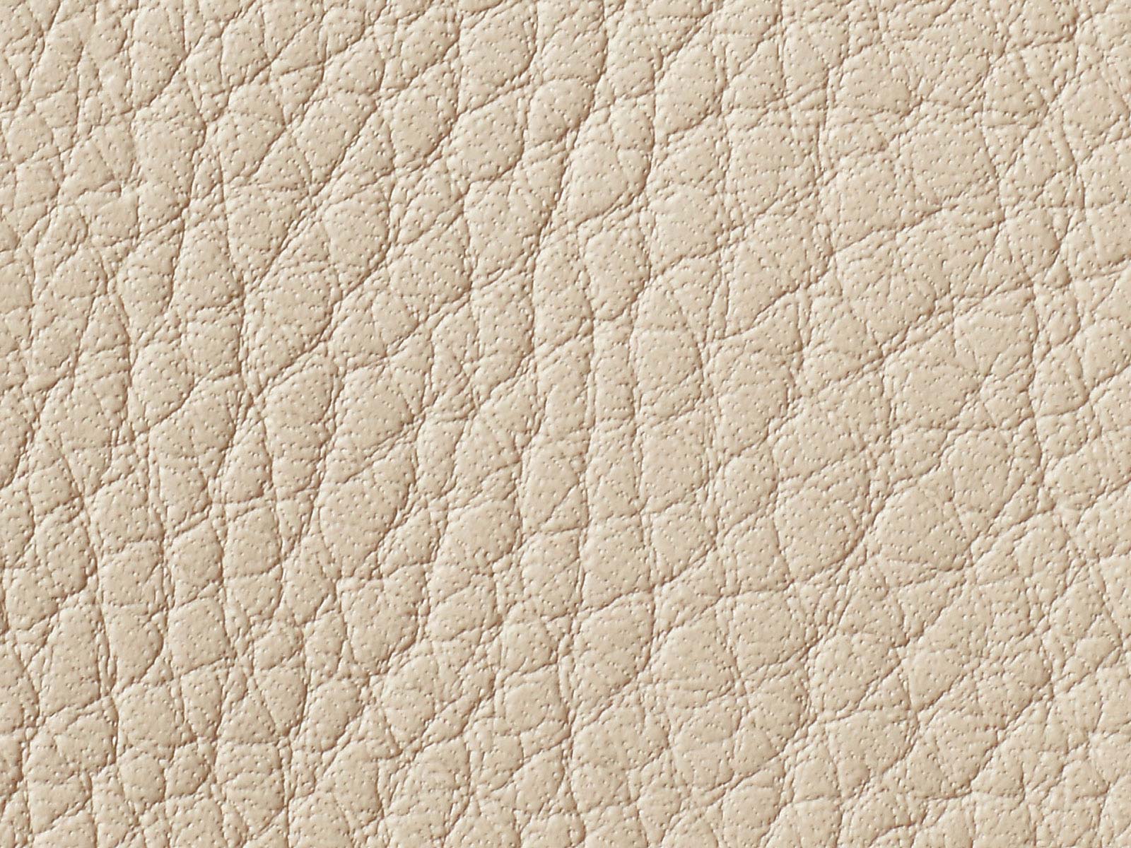 Campos Creme 373