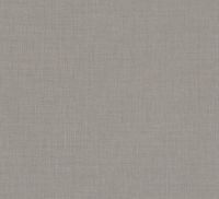 Vorschau: Pepe Grey 335 Vorschau: Pepe Grey 335