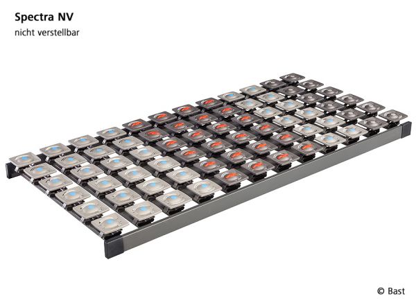 Bast Comfort Tellerrahmen SPECTRA NV, 100 x 200 cm