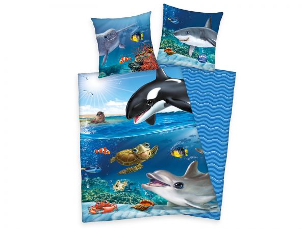Animal Club Ocean, Renforcé
