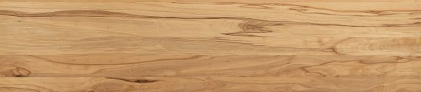 Wildbuche natur, geölt